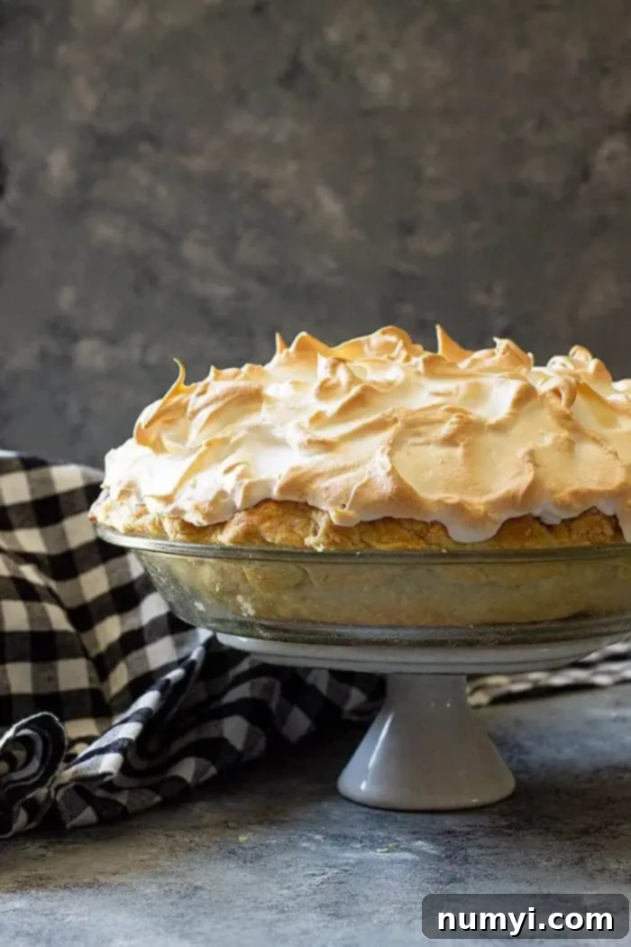 side view: chocolate meringue pie on a stand
