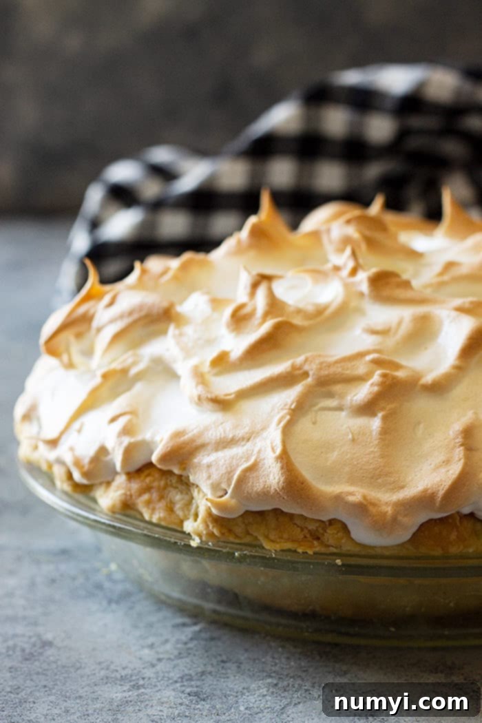 Close-up of a homemade chocolate meringue pie, featuring a beautiful array of golden, airy meringue swirls and peaks that promise a delightful texture contrast to the creamy chocolate beneath.