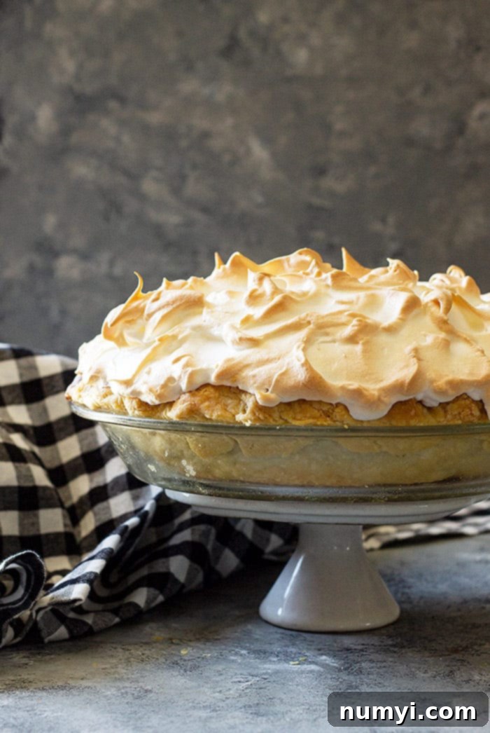 A stunning full chocolate meringue pie presented on an elegant pie stand, highlighting its grand, appetizing appearance with tall, artfully swirled meringue peaks.