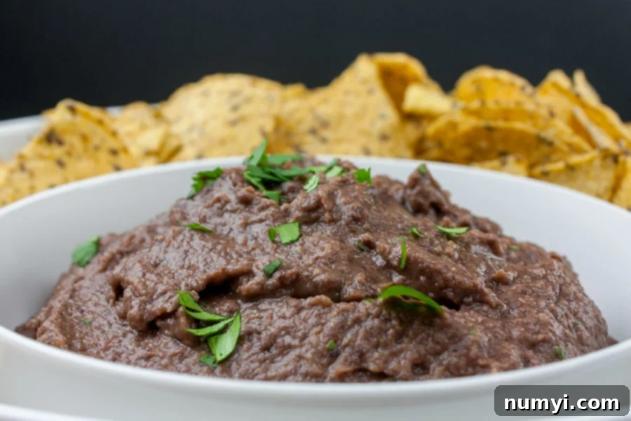 A beautifully presented bowl of creamy easy black bean dip, garnished with fresh cilantro, with golden tortilla chips artfully arranged around it on a white surface, ready to be served.