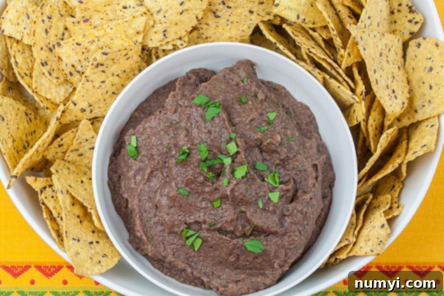 Close-up of the easy black bean dip in a white bowl, richly textured and garnished with fresh cilantro, surrounded by crisp tortilla chips, ready for a delightful snack.