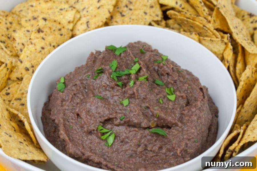 A top-down view of the creamy easy black bean dip, beautifully garnished with cilantro, served in a white bowl alongside a generous scattering of crunchy tortilla chips.