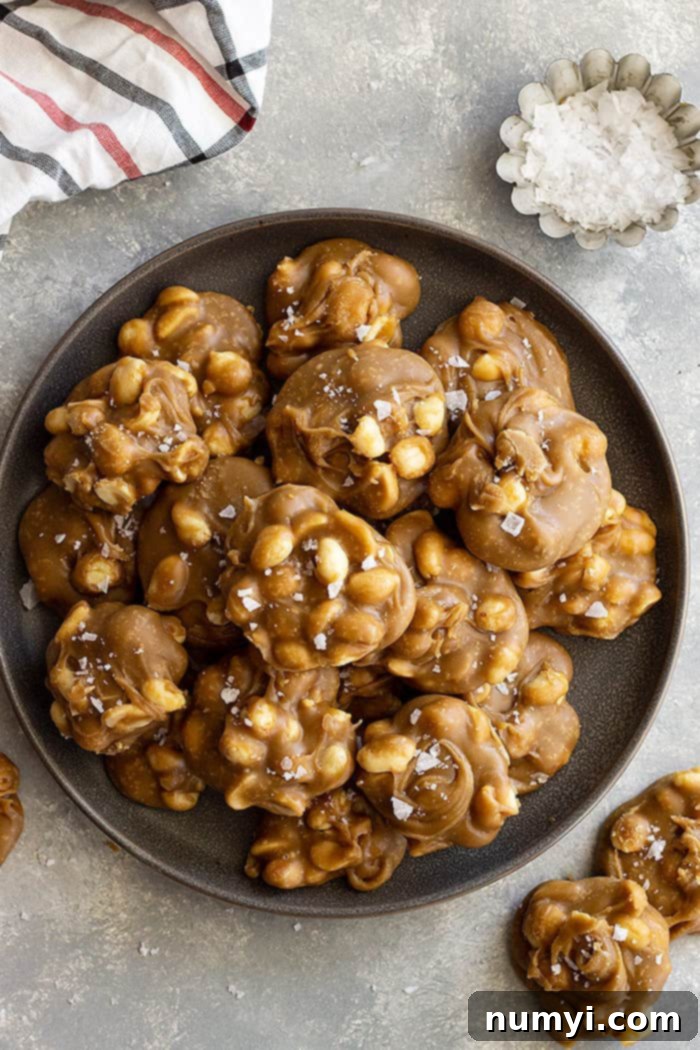 No-Fuss Peanut Delights 2 Top down view of easy peanut pralines on a plate and flaky sea salt scattered.