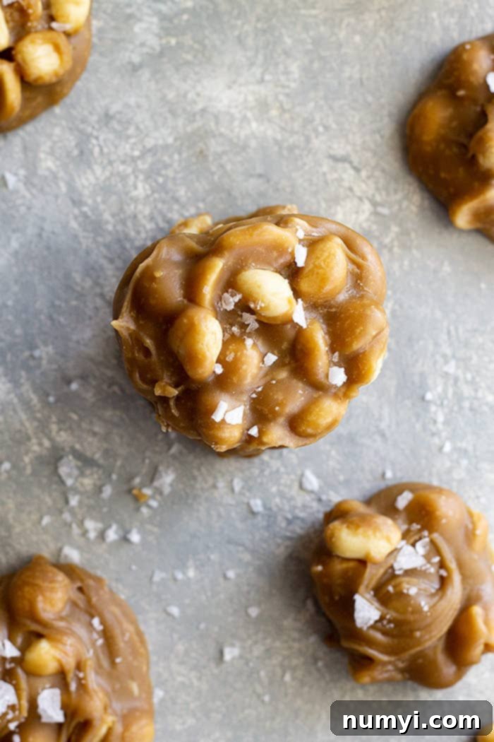 No-Fuss Peanut Delights 3 Top down view of a few easy peanut pralines stacked and sprinkled with flaky sea salt.