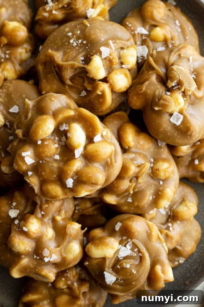 No-Fuss Peanut Delights 4 Close up of easy peanut pralines sprinkled with flaky sea salt.