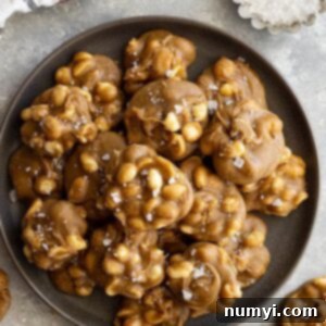 No-Fuss Peanut Delights 7 Top down view of easy peanut pralines on a plate and flaky sea salt scattered.