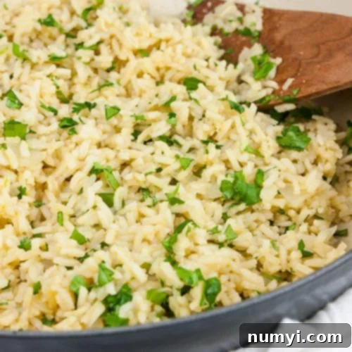 Cilantro lime rice in a gray skillet garnished with chopped cilantro.