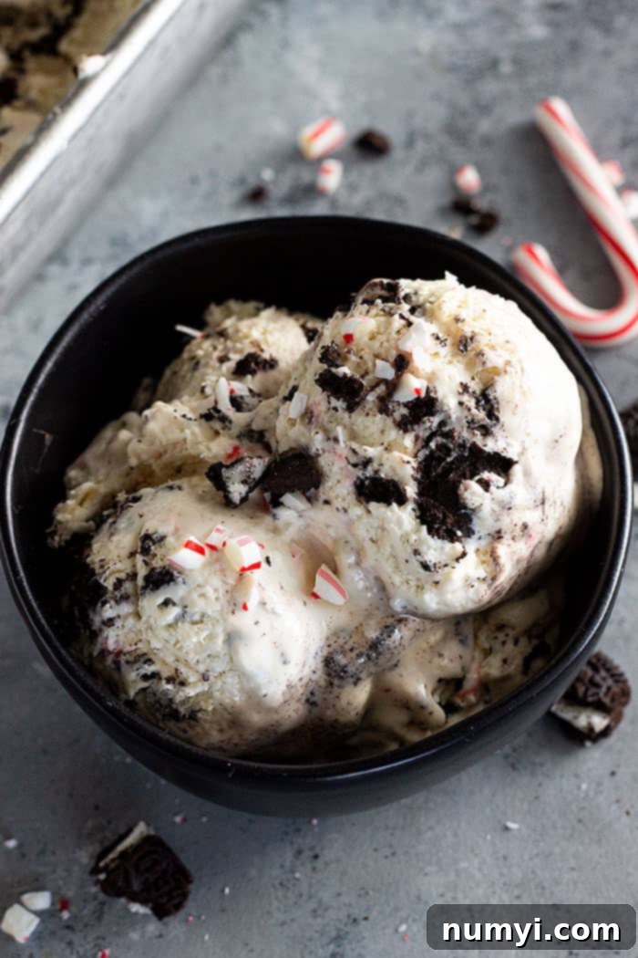 Homemade No-Churn Peppermint Cookie Ice Cream 3 Top down view of no churn peppermint ice cream in a bowl.