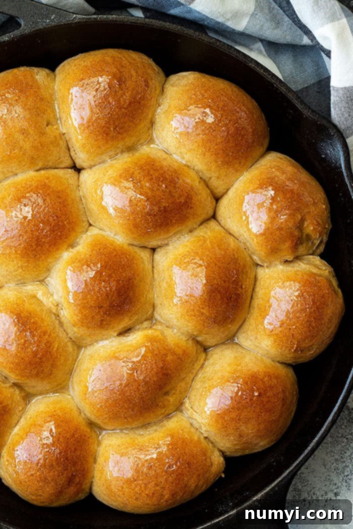 A pan of honey wheat rolls fresh from the oven, glistening with butter.