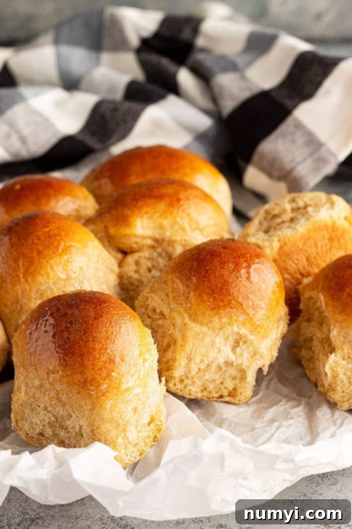 Honey wheat rolls fresh from the oven, lightly brushed with melted butter and cooling on a rack.