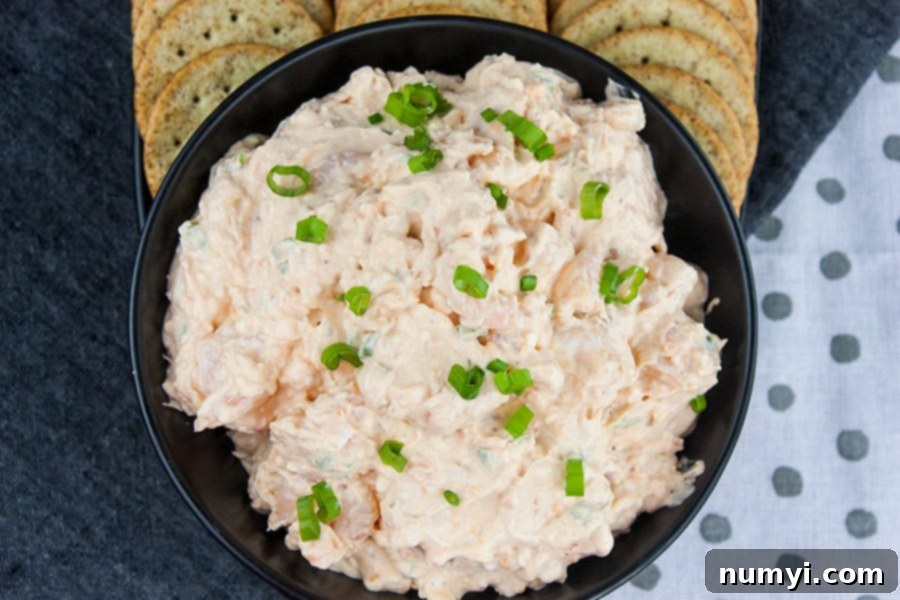  Cold Shrimp Dip in a black bowl garnished with green onions and crackers