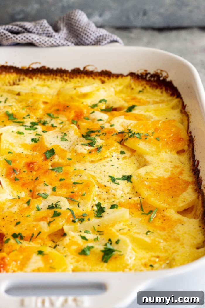 A large white dish with golden-brown potatoes au gratin, garnished with fresh parsley.