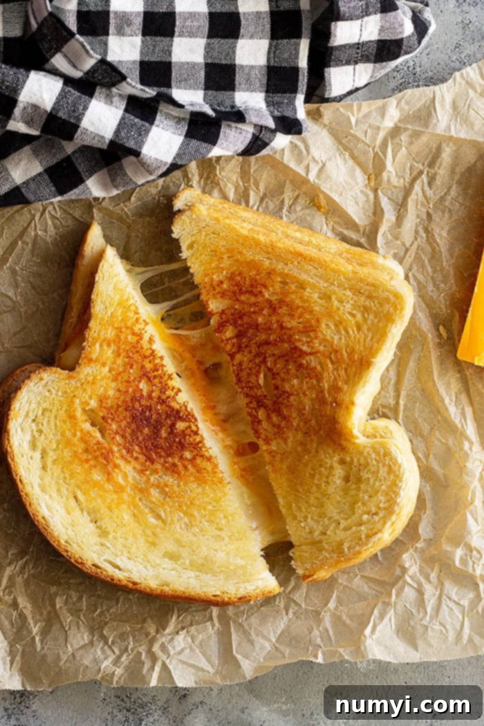 A toasty melty gooey grilled cheese sandwich.