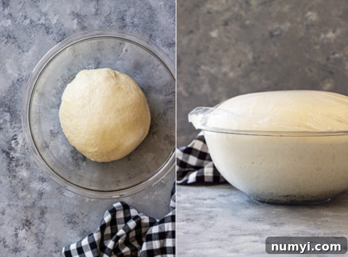 Pictures of bread dough rising. 
