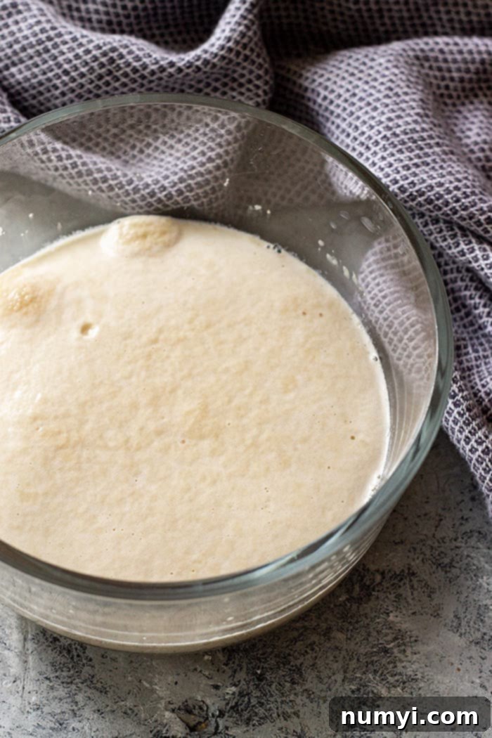 A picture of bubbly yeast ready to use. 