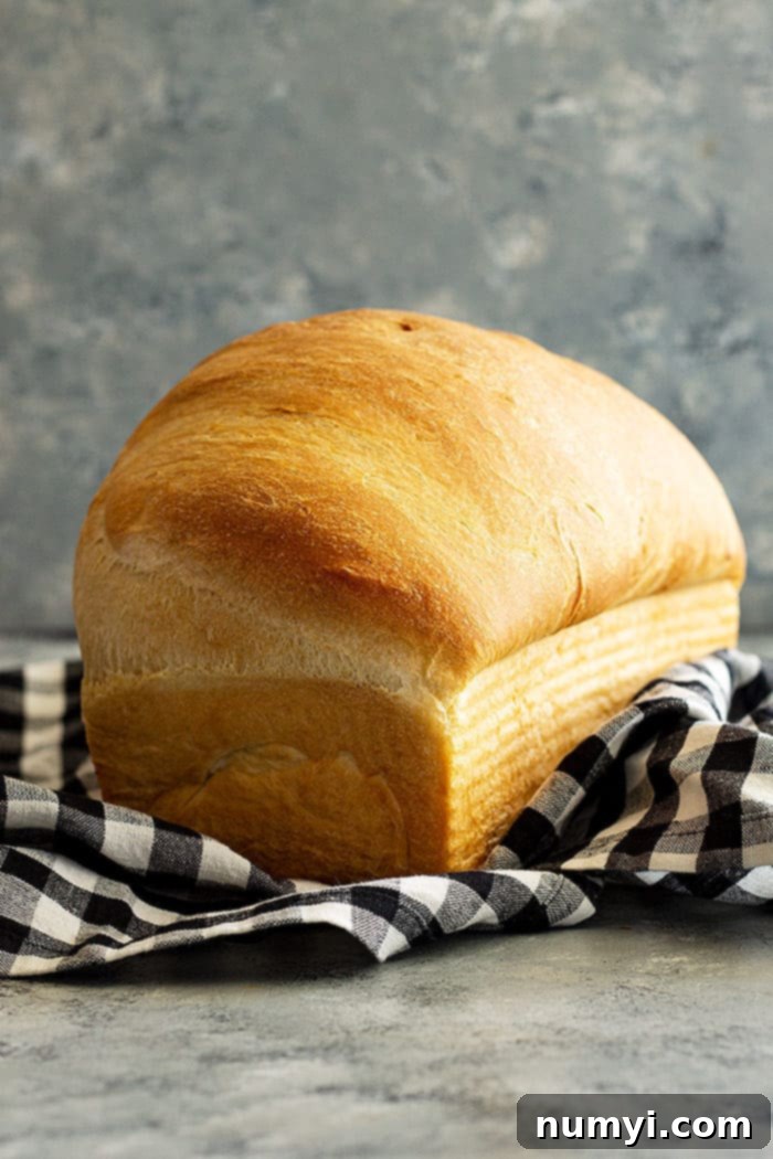A tall loaf of white bread fresh from the oven.