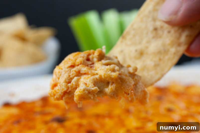 A tortilla strip digging into some hot, bubbly buffalo chicken dip, highlighting its inviting texture.