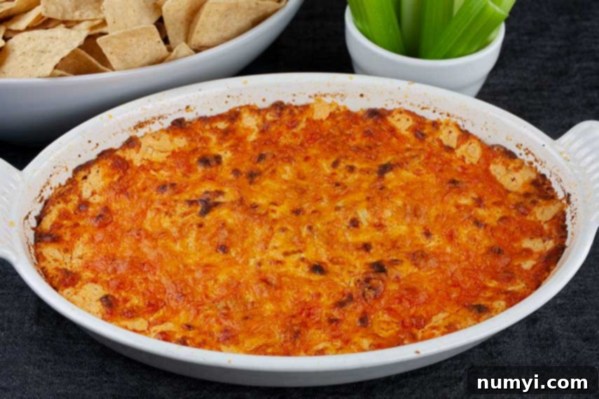 Buffalo Chicken Dish - baked dip in a white casserole dish, hot and bubbly from the oven.