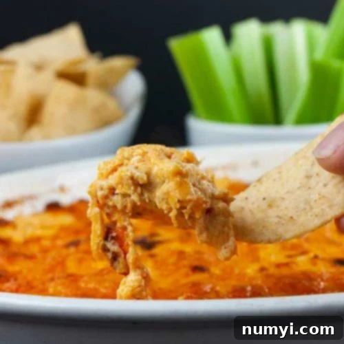 Buffalo chicken dip lifted out of the baking dish with a tortilla chip.