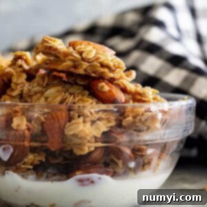 A bowl of honey almond granola with a splash of milk.