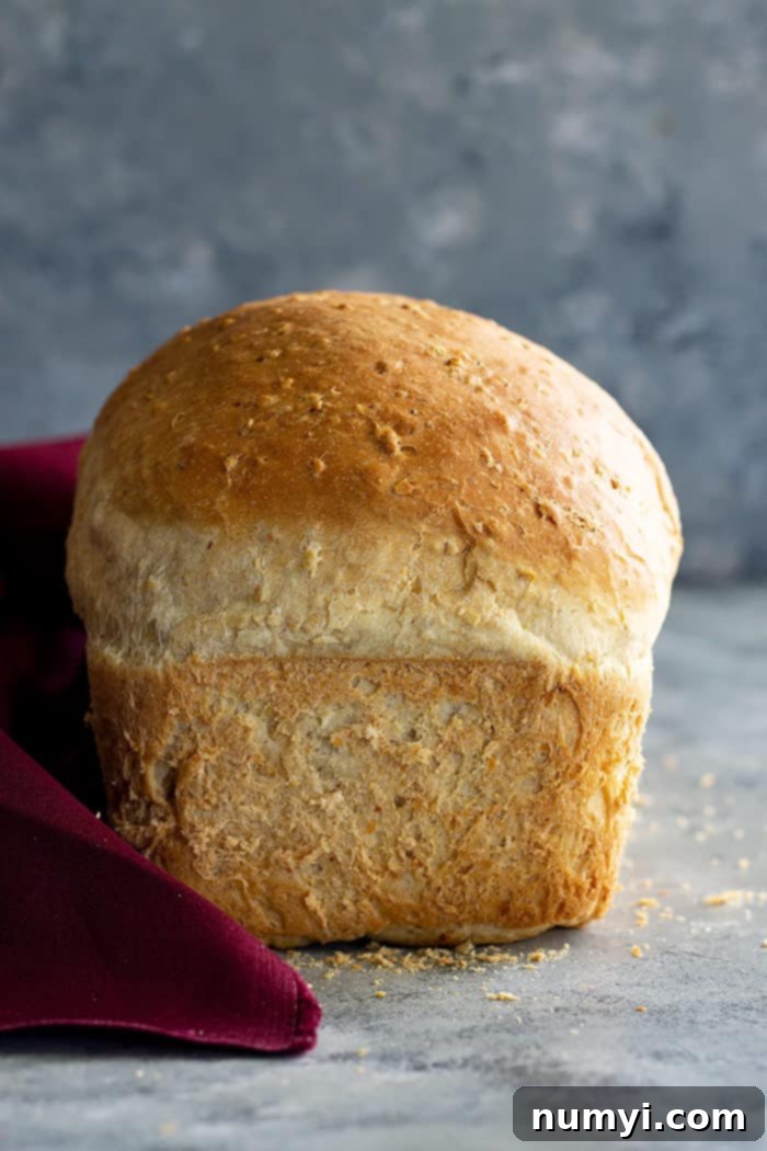 Loaf of bread fresh from the oven, showing a golden brown crust.