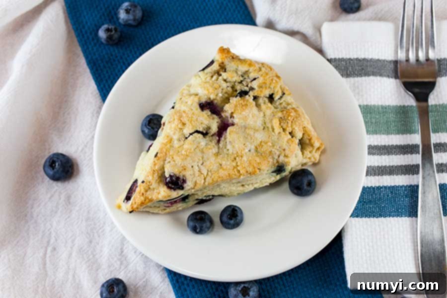 A golden-brown blueberry scone on a white plate, beautifully garnished with fresh blueberries and a light dusting of powdered sugar, ready to be enjoyed.