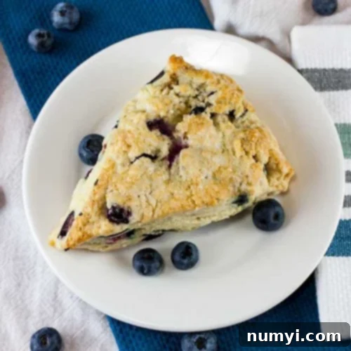 A blueberry scone on a white plate garnished with fresh blueberries.