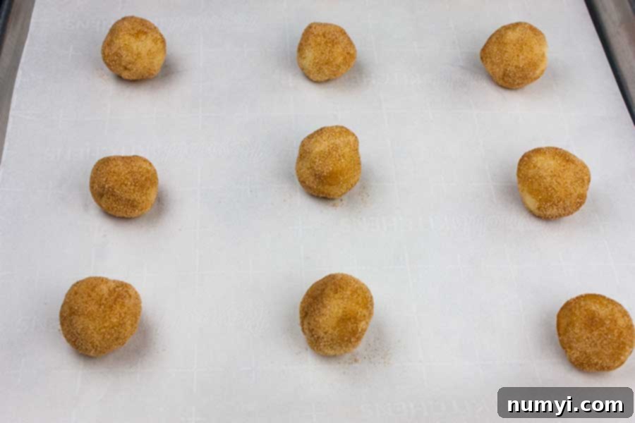 Snickerdoodle dough balls formed on a baking sheet.