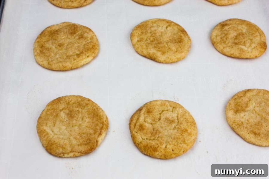 Baked snickerdoodle cookies on the baking sheet.