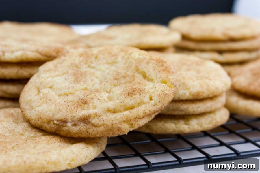 Baked snickerdoodle cookies stacked on a wire cooling rack.
