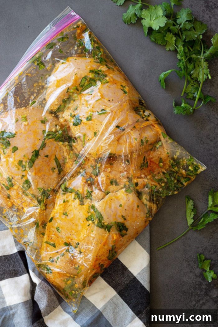 Chicken marinating in a clear resealable bag with cilantro, lime, and spices visible.