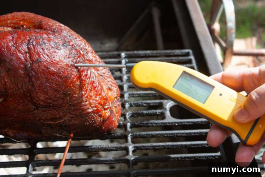 thermometer inserted into the turkey breast on the smoker.