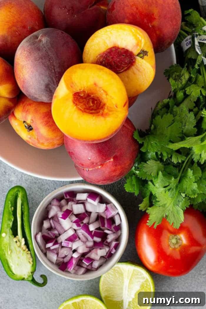 Recipe for peach salsa ingredients.