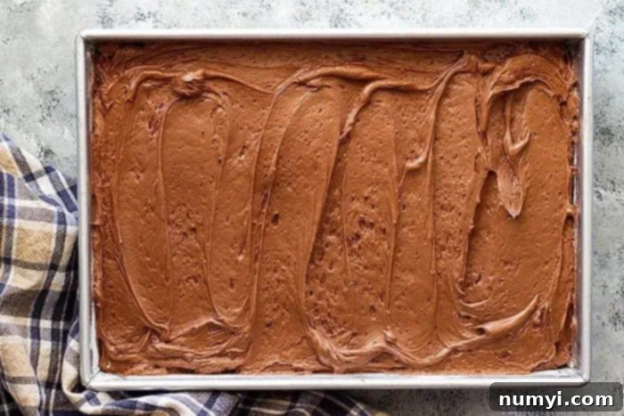 overhead: cream cheese chocolate frosting spread on a cake