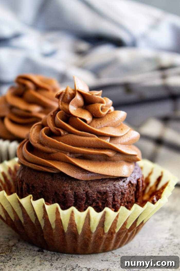 closeup: chocolate cream cheese frosting piped in a swirl on top of a chocolate cupcake