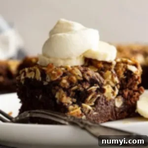 Decadent Banana Fudge Cake 10 A slice of cake topped with whipped cream and banana slices, showcasing the melted chocolate pockets and oat crumble.
