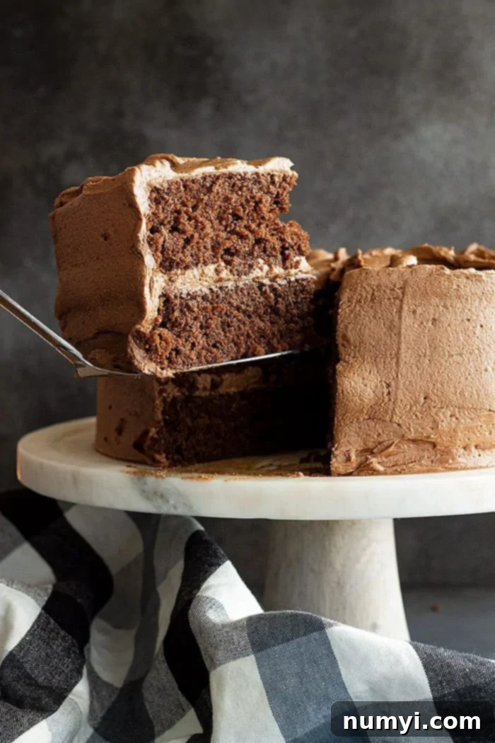 serving a slice of frosted chocolate layer cake, showcasing its inner layers