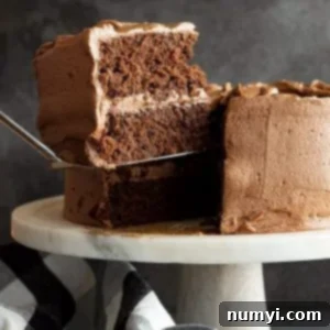 A large slice of chocolate cake with a smooth chocolate frosting is being lifted from the cake.