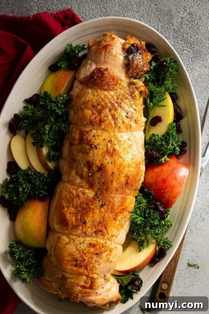 overhead: rolled stuffed turkey breast garnished with parsley, cut apples, and dried cranberries