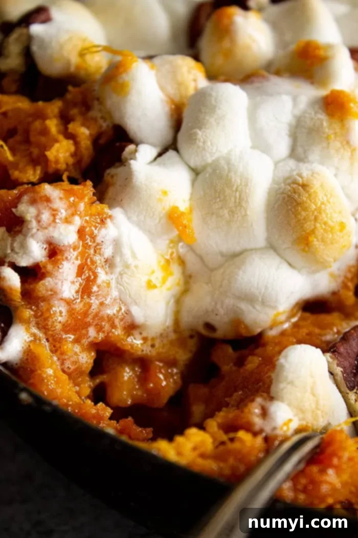 extreme closeup: old fashioned sweet potato casserole with toasted marshmallows on top