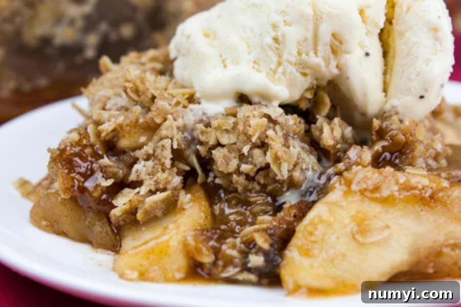 Comforting Apple Crisp with a Golden Oat Crumble 7 A serving of classic apple crisp topped with vanilla ice cream on a white plate.