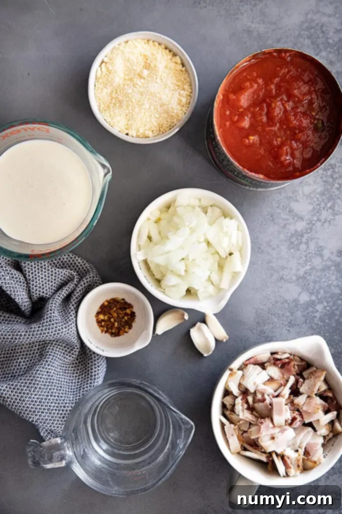 Easy Homemade Vodka Sauce 3 overhead view of all the fresh and canned ingredients required for making a delicious homemade vodka pasta sauce recipe