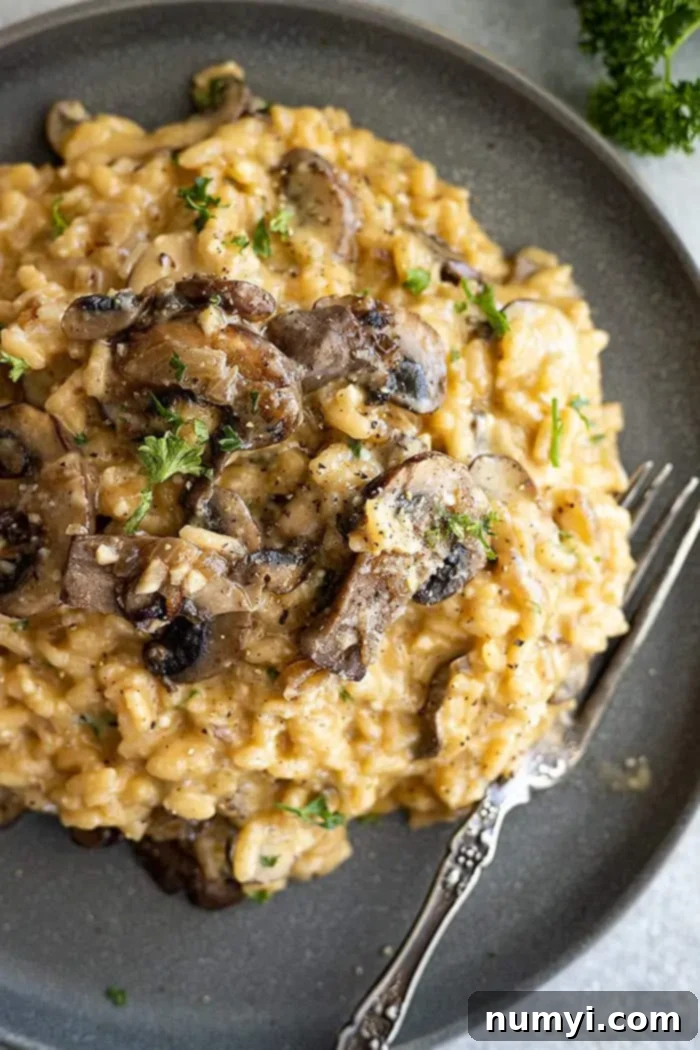 Effortless Mushroom Risotto 2 Risotto piled high on a dark plate. Garnished with parmesan and parsley.
