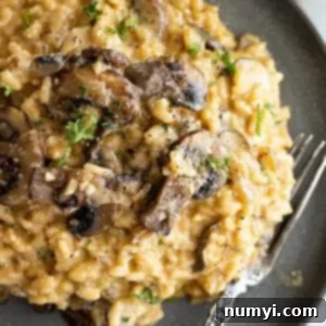 Effortless Mushroom Risotto 8 Risotto piled high on a dark plate. Garnished with parmesan and parsley.