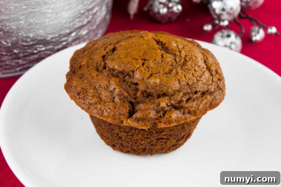 Spiced Molasses Muffins 7 Single gingerbread muffin on a white plate, ready to be enjoyed with a dusting of powdered sugar.