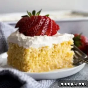 A piece of tres leches cake on a small plate topped with a fanned out strawberry.