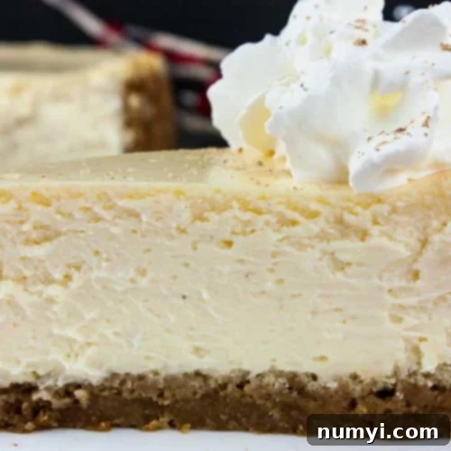 A slice of eggnog cheesecake with gingersnap crust on a white plate garnished with whipped cream and freshly grated nutmeg.