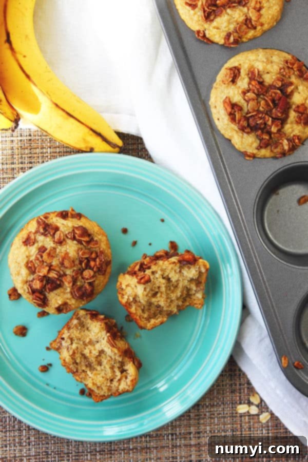 a couple of oatmeal banana muffins on a teal green plate with one cut open alongside the muffin tin with more inside there