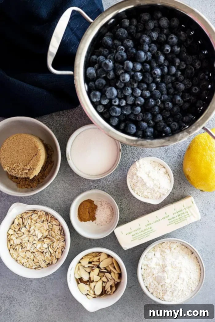 A flat lay photograph showing all the fresh ingredients laid out to make blueberry crisp: vibrant blueberries, white granulated sugar, all-purpose flour, cold butter, old-fashioned oats, brown sugar, sliced almonds, a fresh lemon, and a jar of cinnamon.