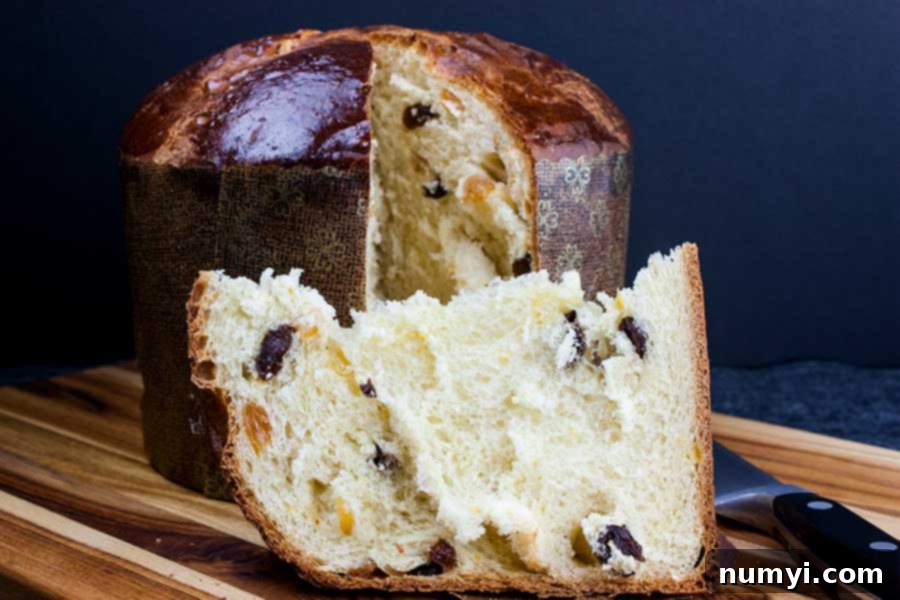 Simple Italian Christmas Panettone 17 A beautiful slice of homemade Panettone bread on a wooden board, showing its airy crumb and fruit.